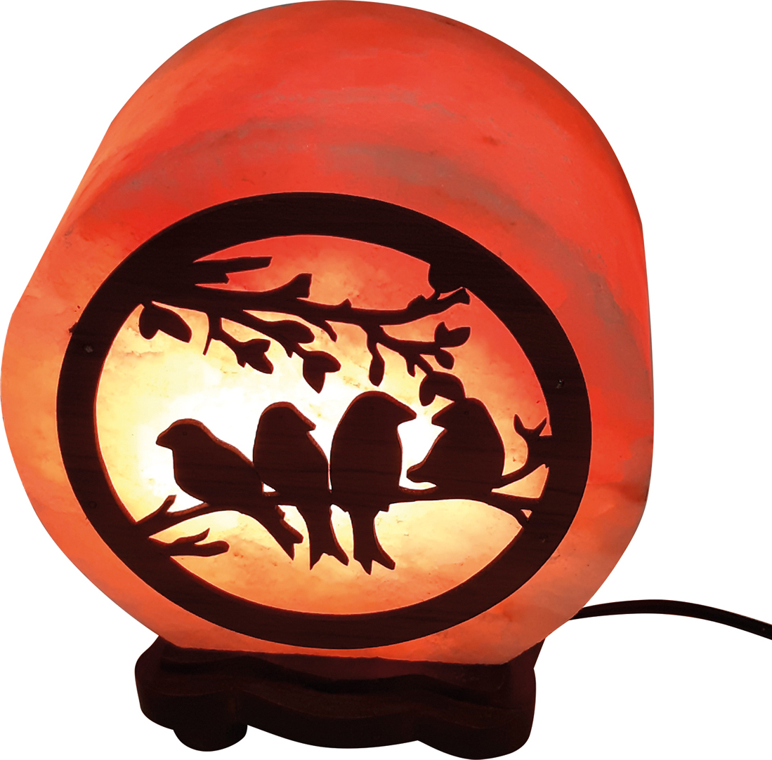 Соляная лампа Wonder Life «КРУГ- ПТИЧКИ»