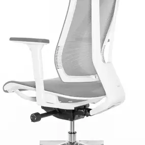 Эргономичное кресло Falto G1 Air (3 уровня поясницы, сетка, каркас белый, серый)