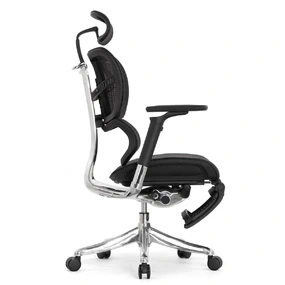 Анатомическое кресло Falto Fly 2 с подножкой (динамичный подголовник, подлокотники 6D (360), сетка, чёрный)