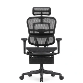 Эргономичное кресло Falto Ergohuman 2 Elite с подножкой (алюминий, наклон вперёд, сетка, чёрный)