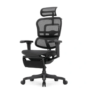Эргономичное кресло Falto Ergohuman 2 Elite с подножкой (алюминий, наклон вперёд, сетка, чёрный)