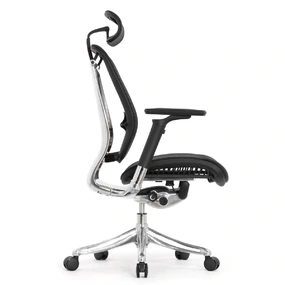 Эргономичное кресло Falto Spring 2 (поясничный валик, подлокотники 6D (360), сетка, чёрный)