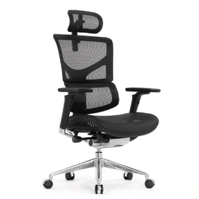 Эргономичное кресло Falto Sail 2 (динамичный поясничный упор, подлокотники 6D (360), сетка, чёрный)