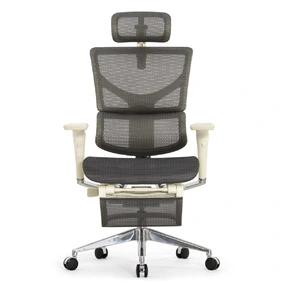 Эргономичное кресло Falto Sail 2 с подножкой (динамичный поясничный упор, подлокотники 6D (360), сетка, светлый)
