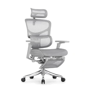 Эргономичное кресло Falto Pro 2 с подножкой (3D поясничный упор, подголовник 4D, каркас серый, белый)