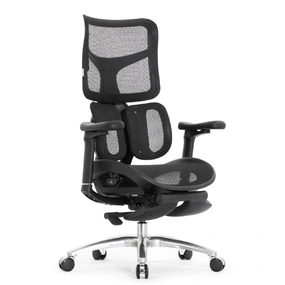Эргономичное кресло Falto Scala Office с подножкой (разделённый поясничный упор, сетка, чёрный)